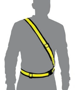 Oxford Bright Belt