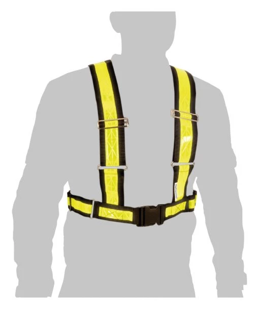 Oxford Bright H Belt